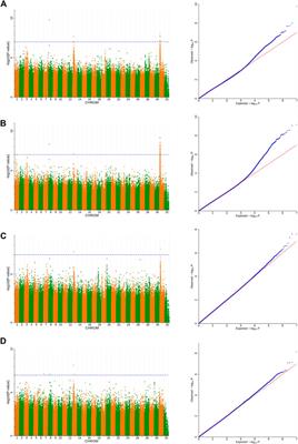 Genome-wide association study to identify SNPs and candidate genes associated with body size traits in donkeys